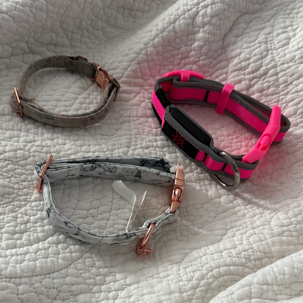 3- small Dog collars *